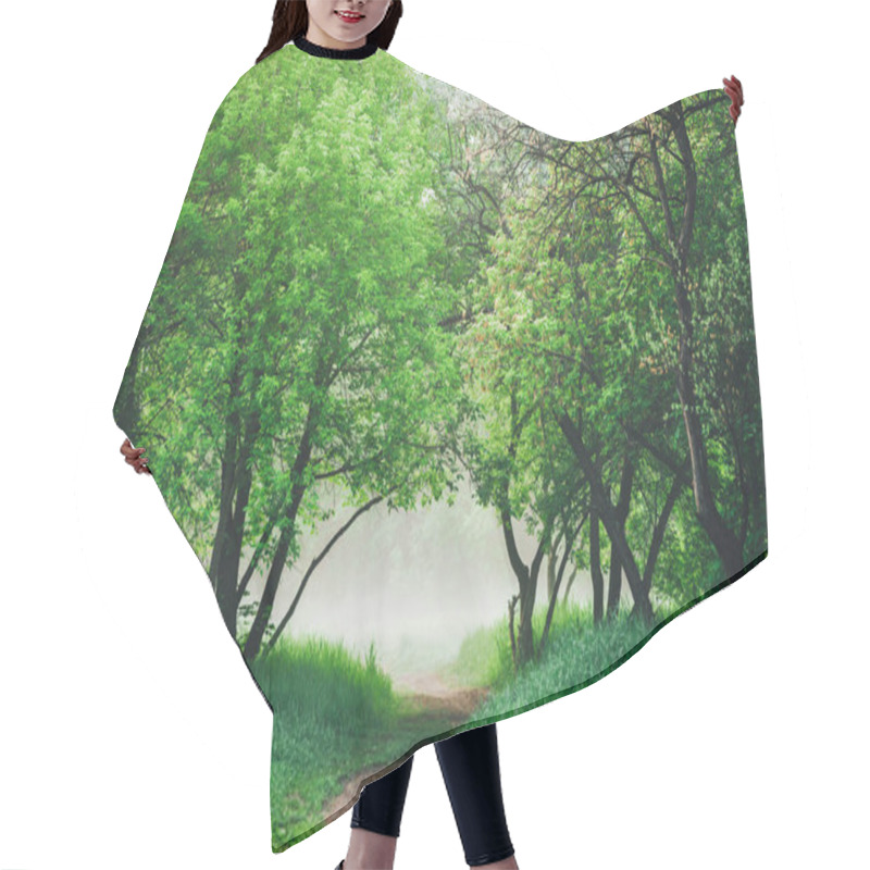 Personality  Mist Among Trees On Meadow In Park In Early Morning Hair Cutting Cape