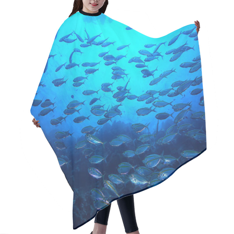 Personality  Scad Jamb Under Water / Sea Ecosystem, Large School Of Fish On A Blue Background, Abstract Fish Alive Hair Cutting Cape