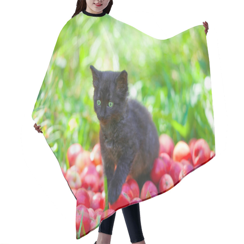 Personality  Kitten On Apples Hair Cutting Cape