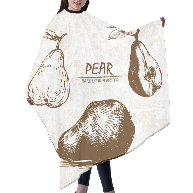 Personality  Digital Vector Detailed Pear Hand Drawn Hair Cutting Cape