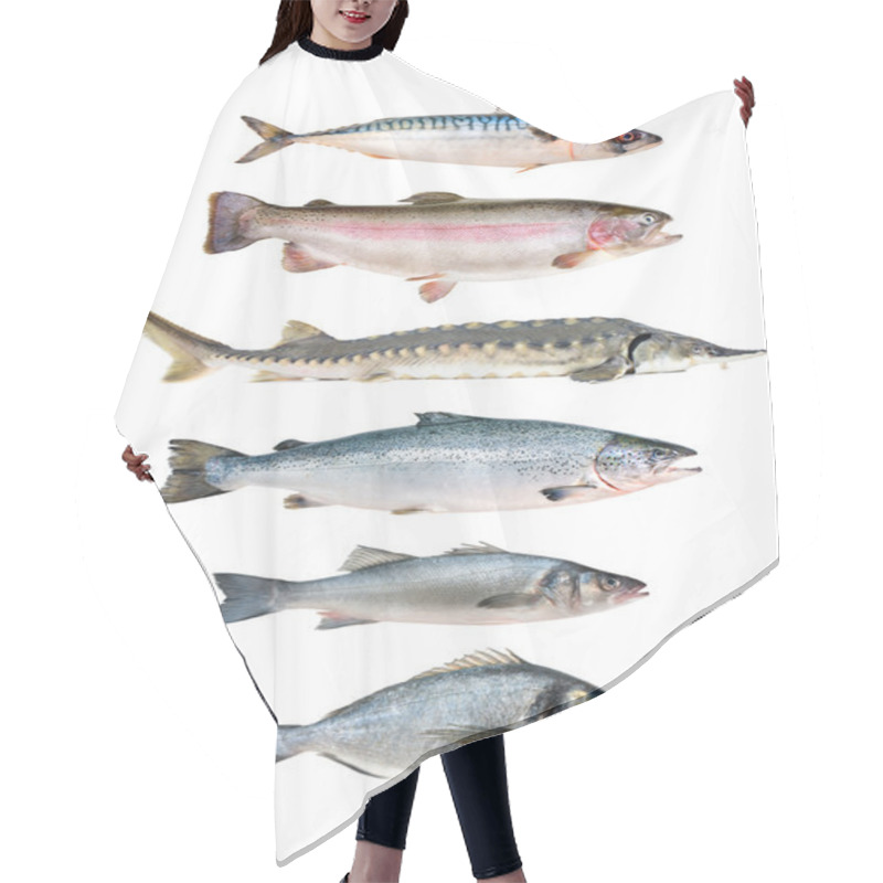 Personality  Fish Collection Hair Cutting Cape