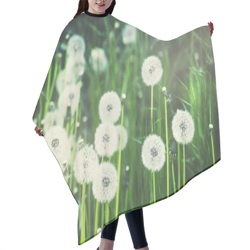 Personality  White Fluffy Dandelions, Natural Green Background Hair Cutting Cape