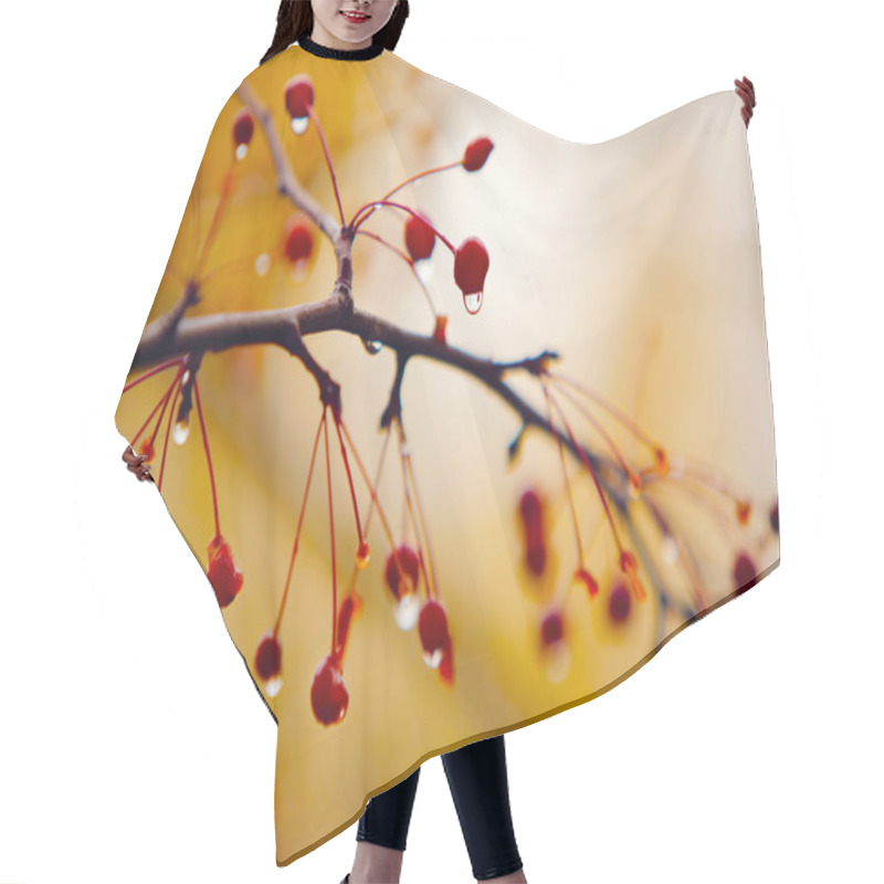 Personality  Autumn Branches Hair Cutting Cape