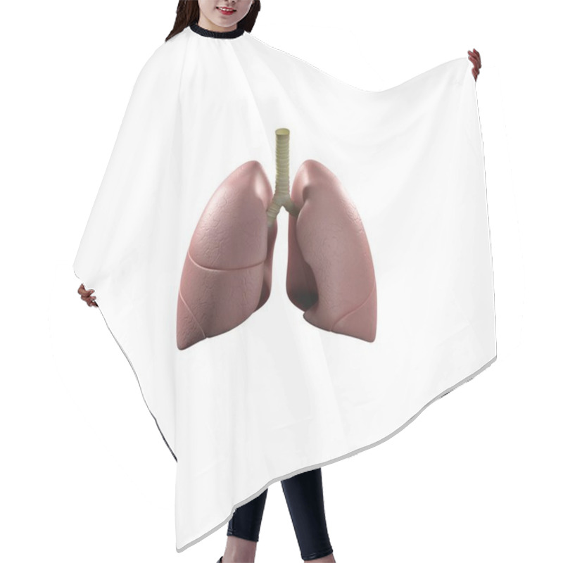 Personality  Human Lungs Anatomy Model Icon Hair Cutting Cape