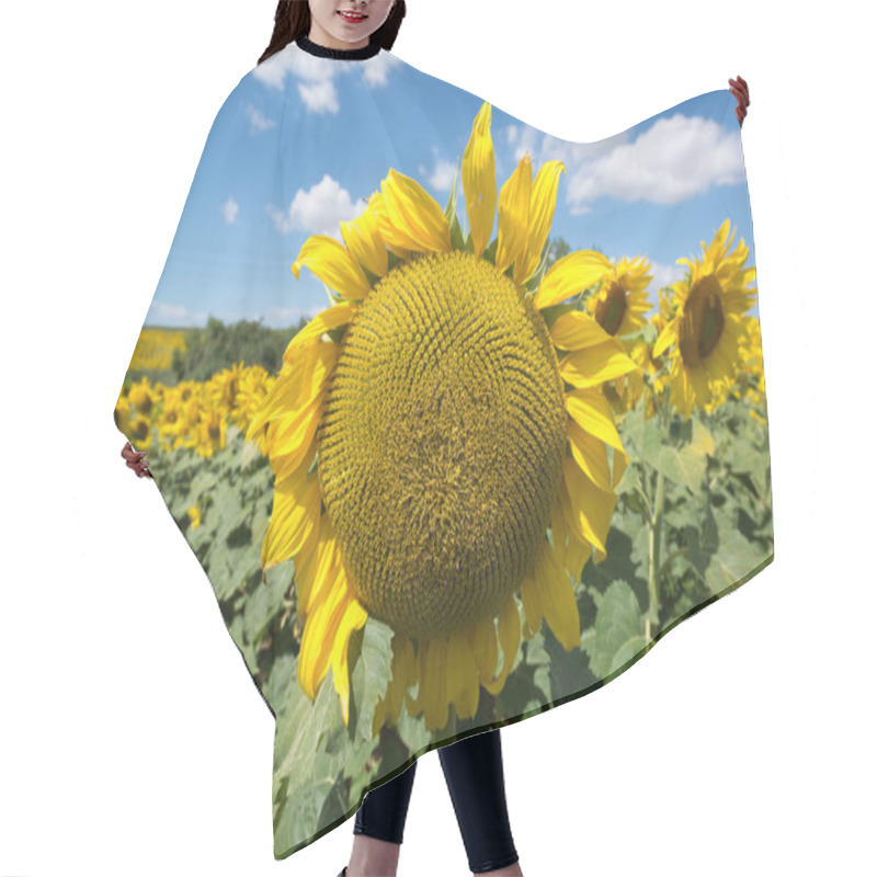 Personality  Sunflower Landscape Field Hair Cutting Cape