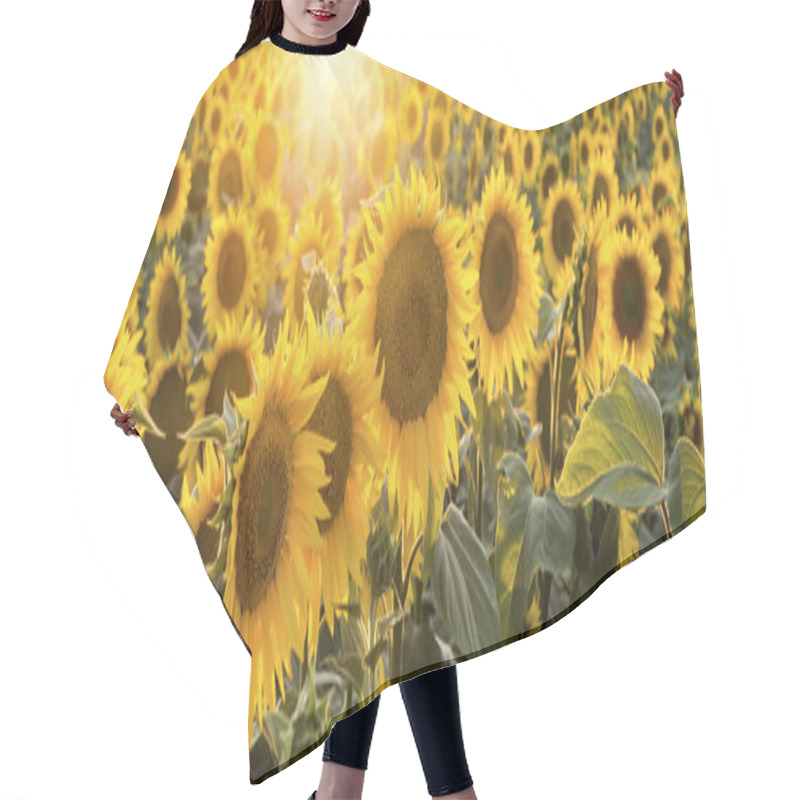 Personality  Sunflowers In The Field  Hair Cutting Cape