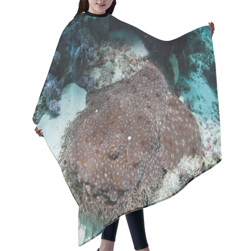 Personality  Wobbegong Shark Hair Cutting Cape