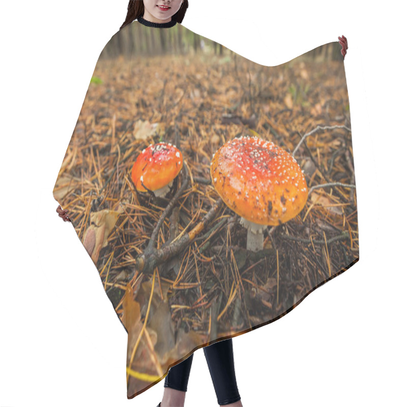 Personality  Fly Agaric In The Russia  Hair Cutting Cape