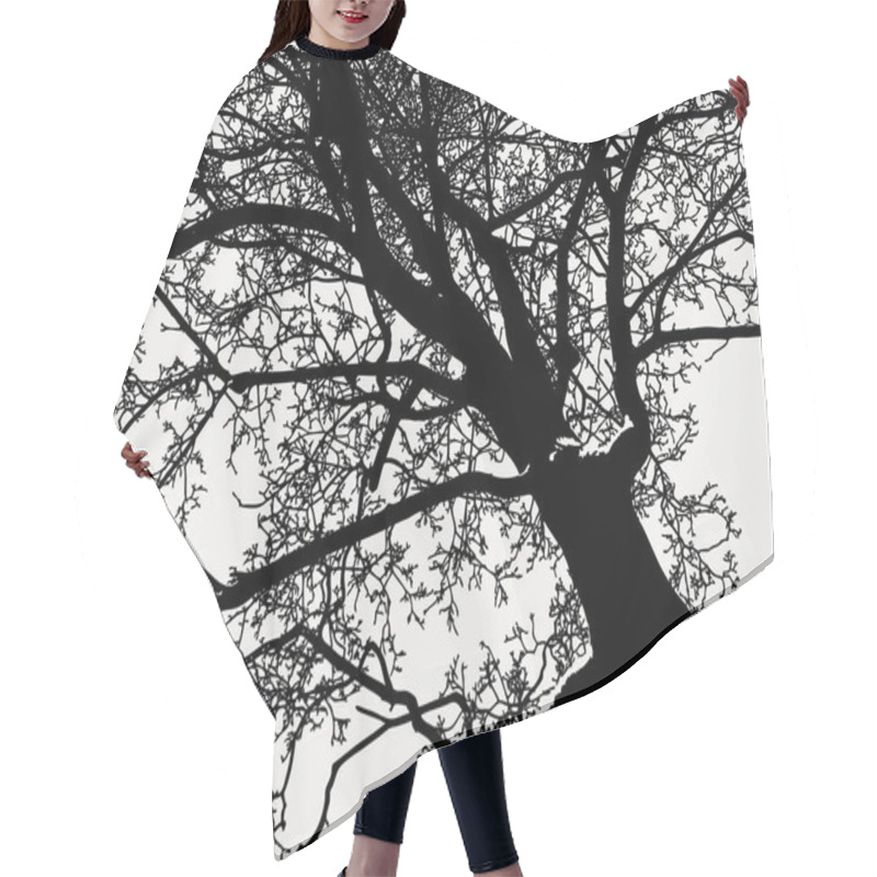 Personality  A Silhouette Of A Deciduous Tree In Winter Hair Cutting Cape