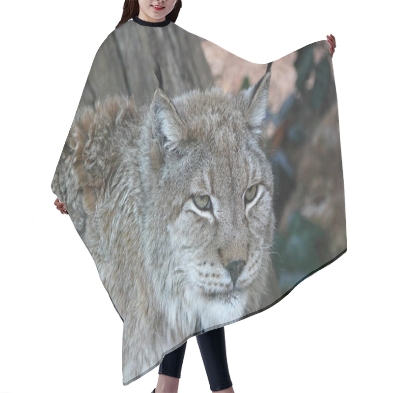 Personality  European Lynx Hair Cutting Cape