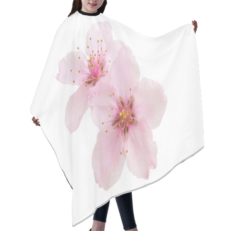 Personality  Sakura Flowers Isolated  Hair Cutting Cape