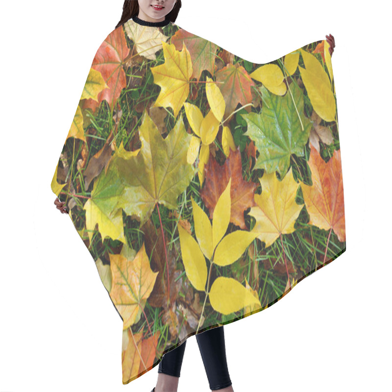 Personality  Fallen Leaves In The Park In The Autumn Season. Autumn Background Of Foliage. Hair Cutting Cape