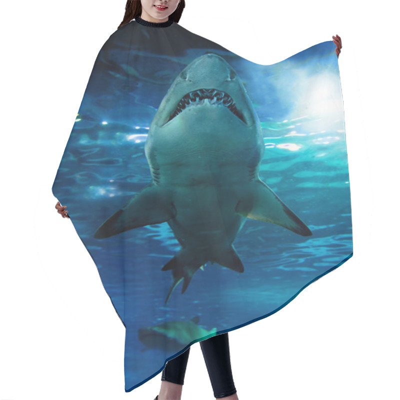 Personality  Shark Silhouette Underwater Hair Cutting Cape