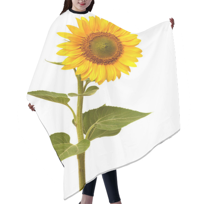 Personality  Sunflower Hair Cutting Cape