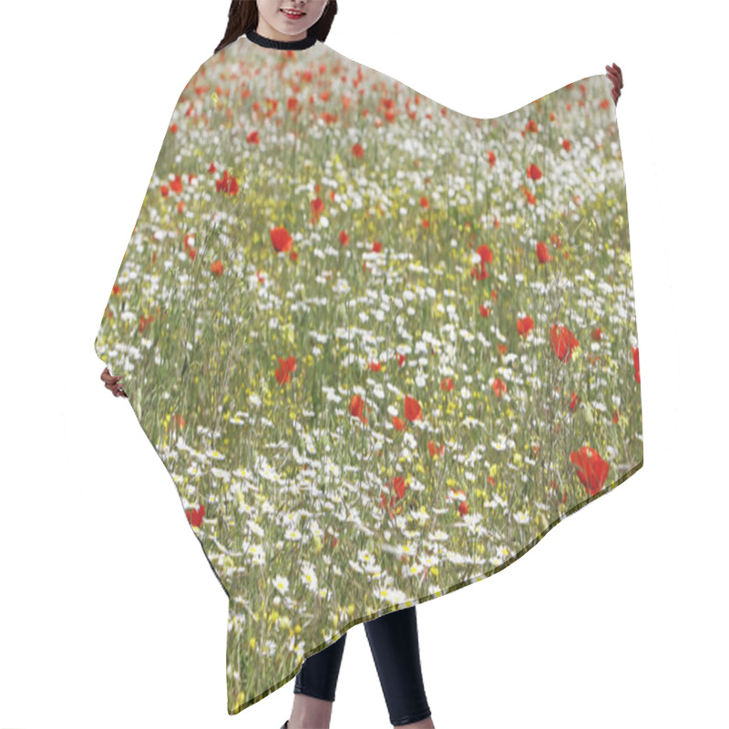 Personality  Red Poppies And Daisy Flowers On Spring Field Hair Cutting Cape