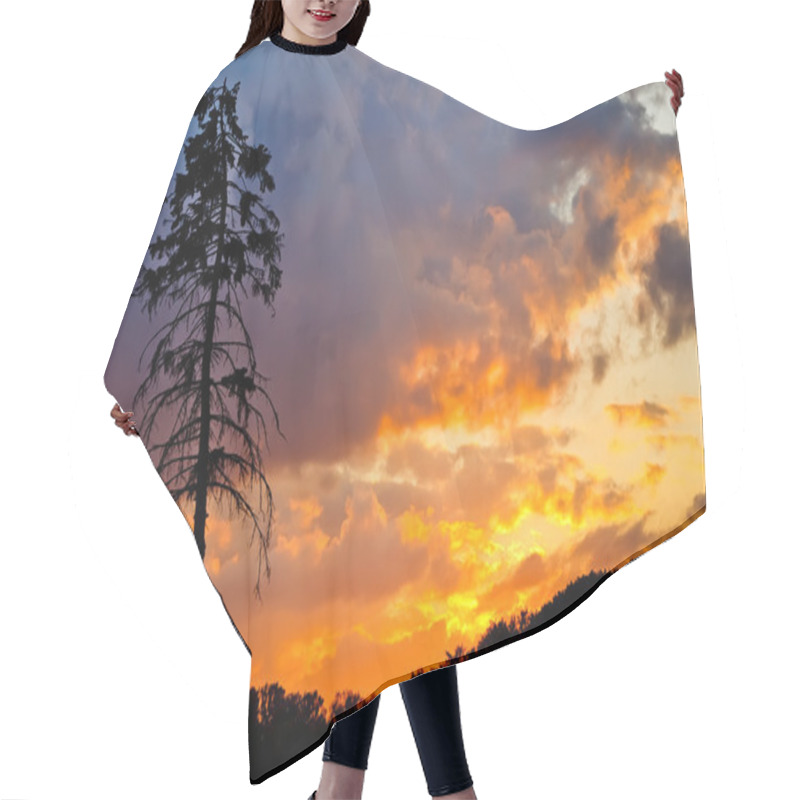 Personality  Pine Tree At Sunset Hair Cutting Cape