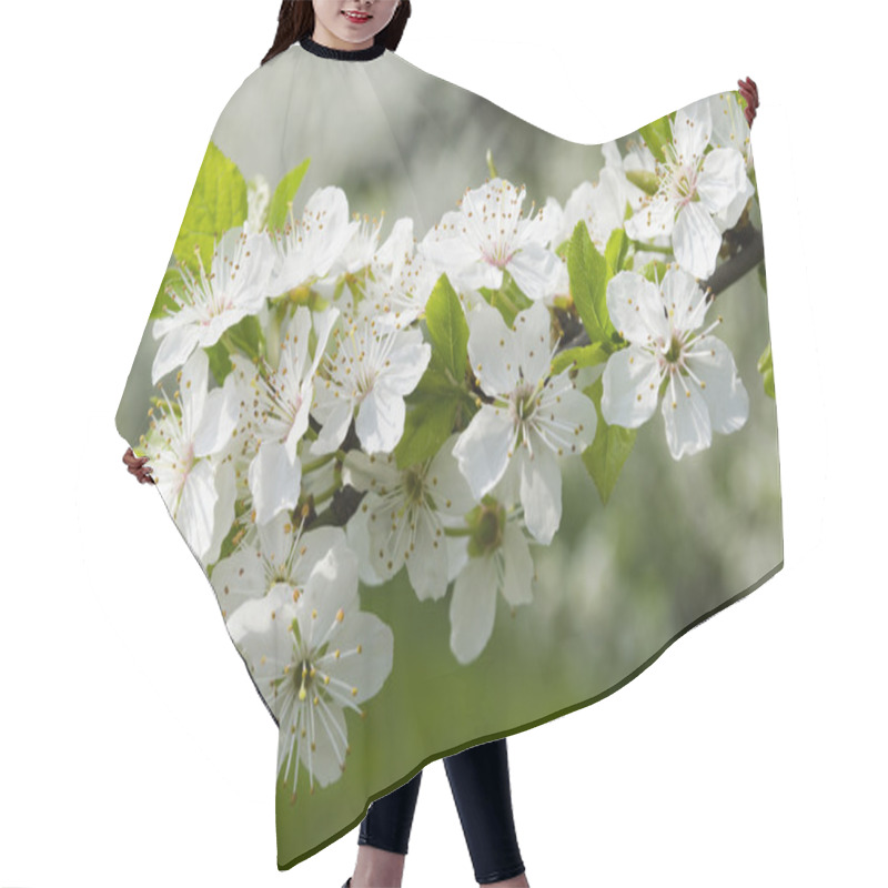 Personality  Flowering Tree With Green Leaves Hair Cutting Cape