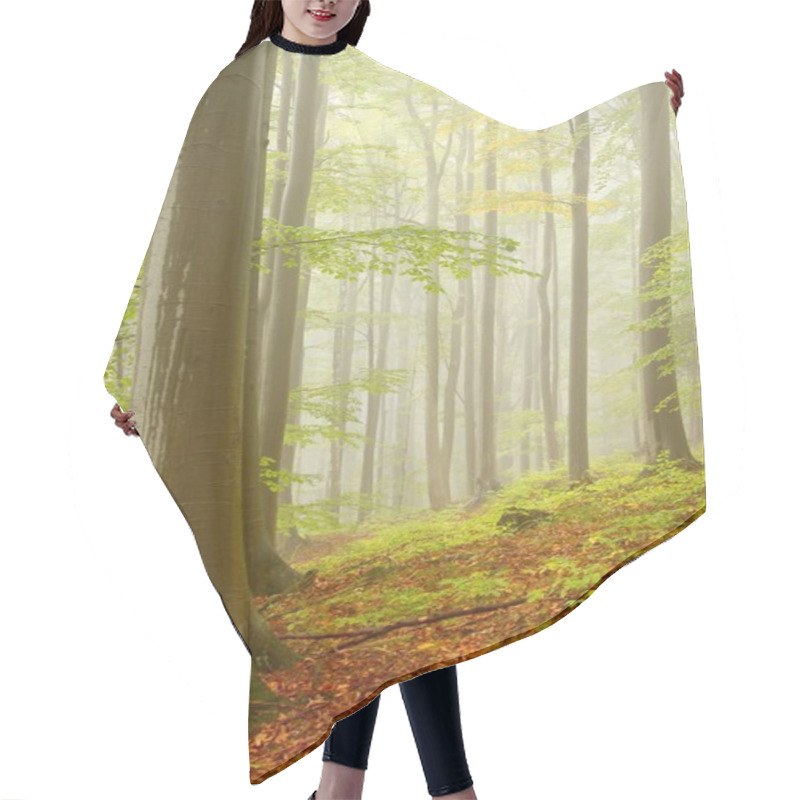 Personality  Misty Beech Forest Hair Cutting Cape