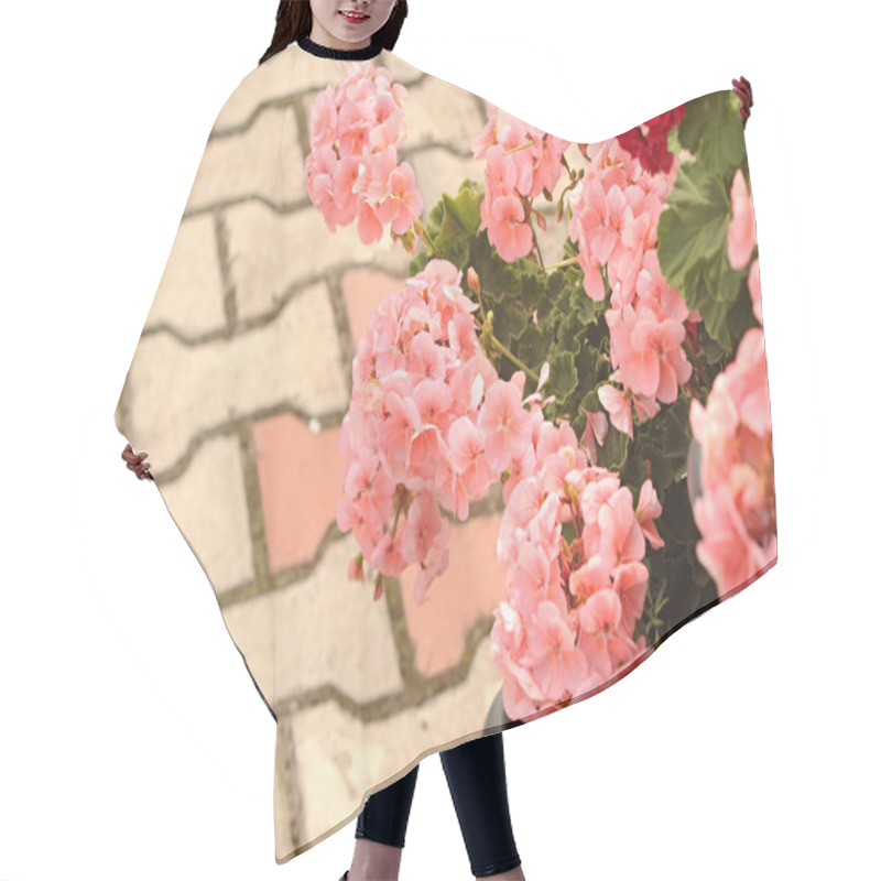 Personality  Three Ivy Geraniums Hair Cutting Cape