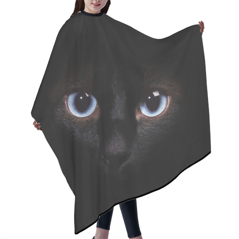 Personality  Eyes Of The Siamese Cat In The Darkness Hair Cutting Cape