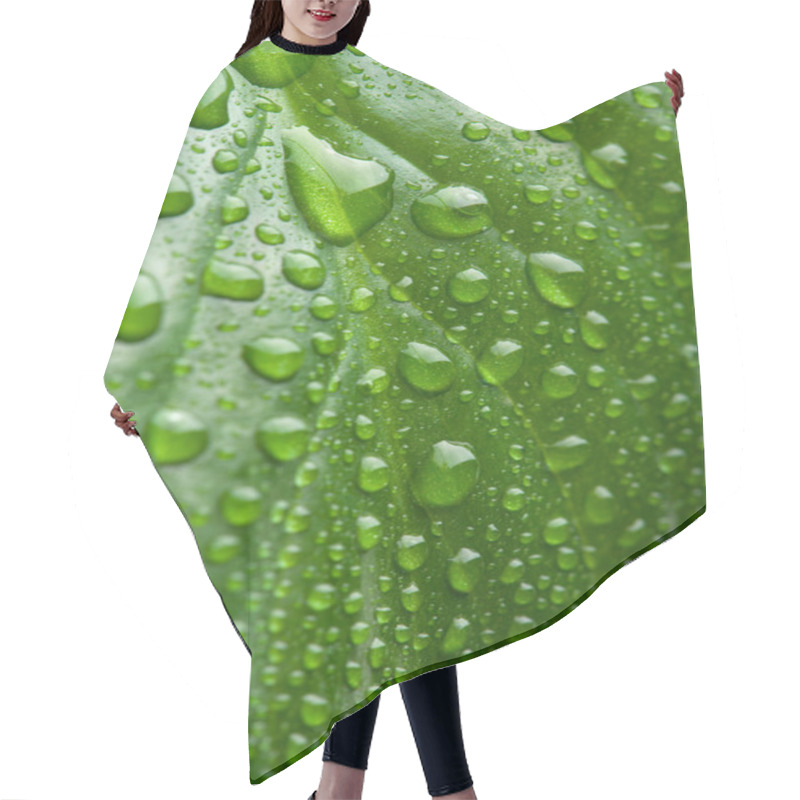 Personality  Fresh Green Leaf With Water Droplets Hair Cutting Cape