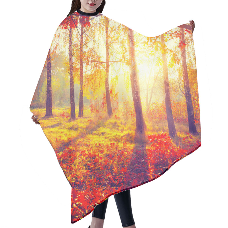 Personality  Autumn Trees And Leaves Hair Cutting Cape