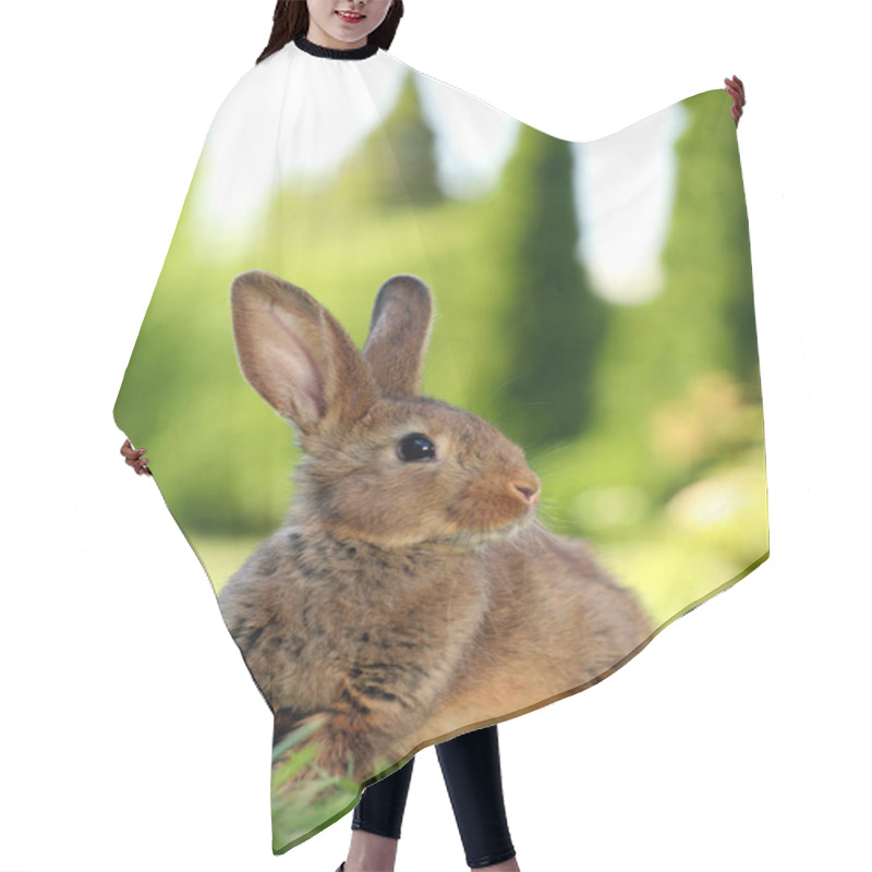 Personality  Cute Fluffy Rabbit On Green Grass Outdoors Hair Cutting Cape