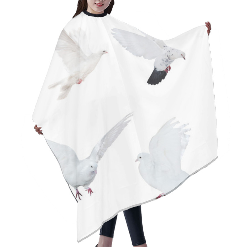 Personality  Four Isolated White Doves Hair Cutting Cape