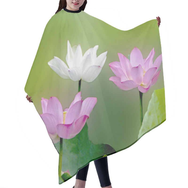 Personality  Bloom Lotus Hair Cutting Cape