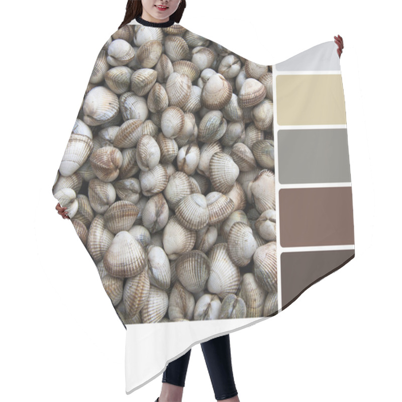 Personality  Cockle Shell Palatte Hair Cutting Cape