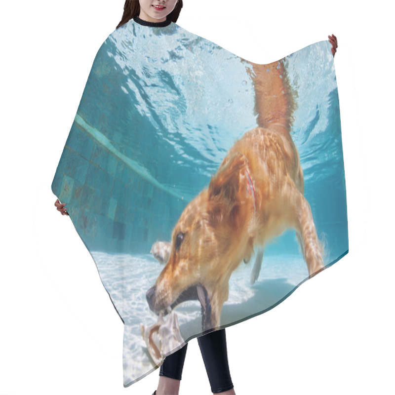 Personality  Dog Swimming And Diving In The Pool Hair Cutting Cape