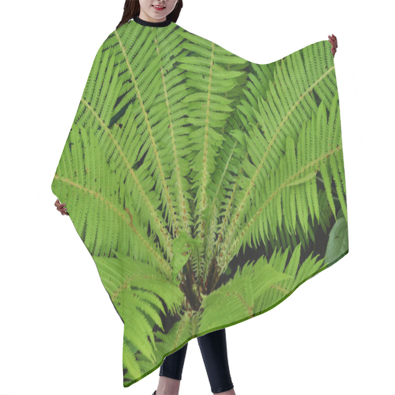 Personality  Green Fern Hair Cutting Cape