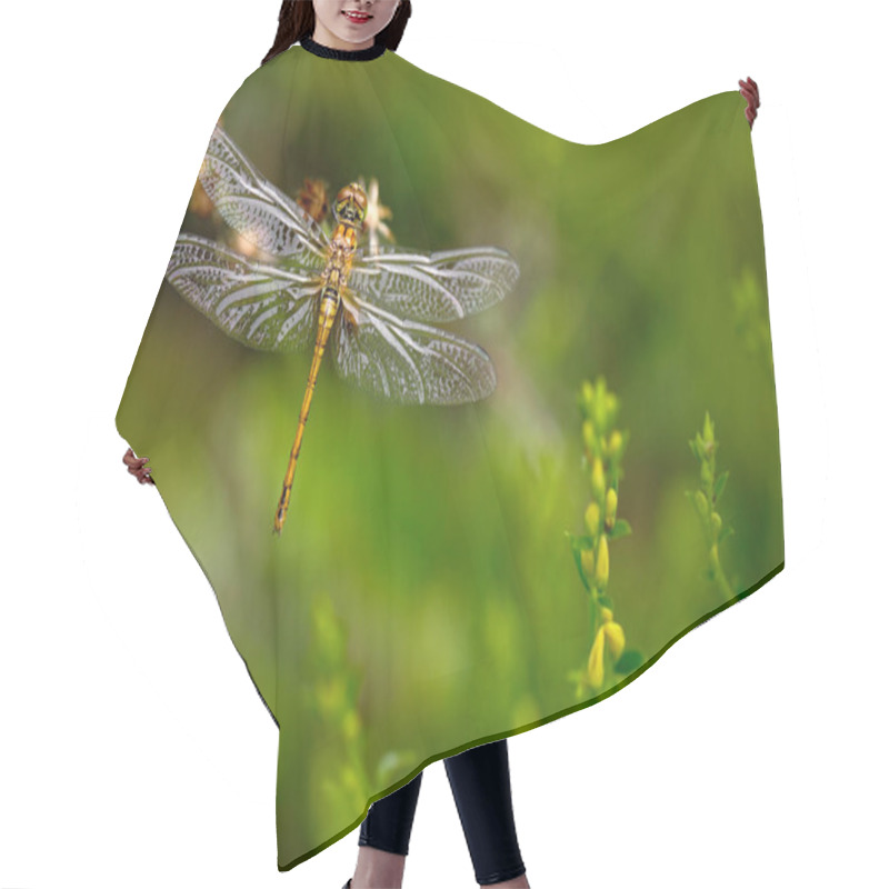 Personality  Nature Scene With Dragonfly Hair Cutting Cape