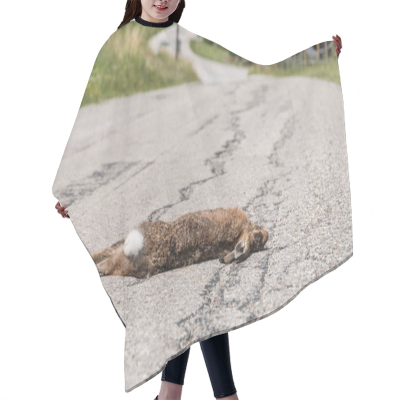 Personality  Game Accident Due To Collision - Rabbit Lies Dead On The Street Hair Cutting Cape