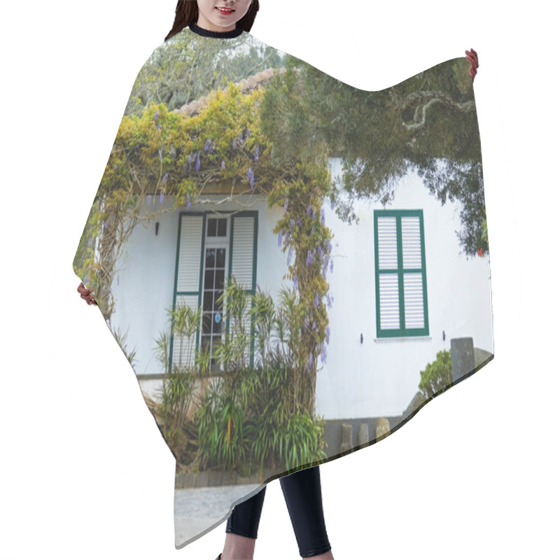 Personality  Lovely White House With Ivy Plants In Azores Islands Portugal Hair Cutting Cape