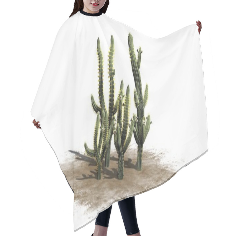 Personality  Saguaro Cactus - Isolated On White Background Hair Cutting Cape