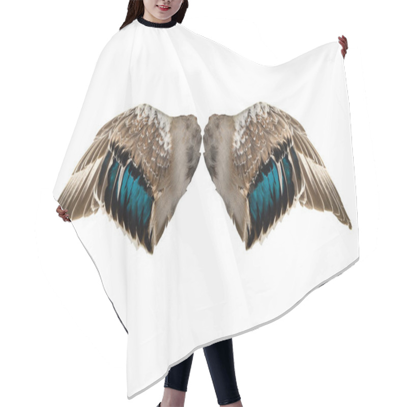 Personality  Brown Duck Wing Isolated On A White Background. Hair Cutting Cape