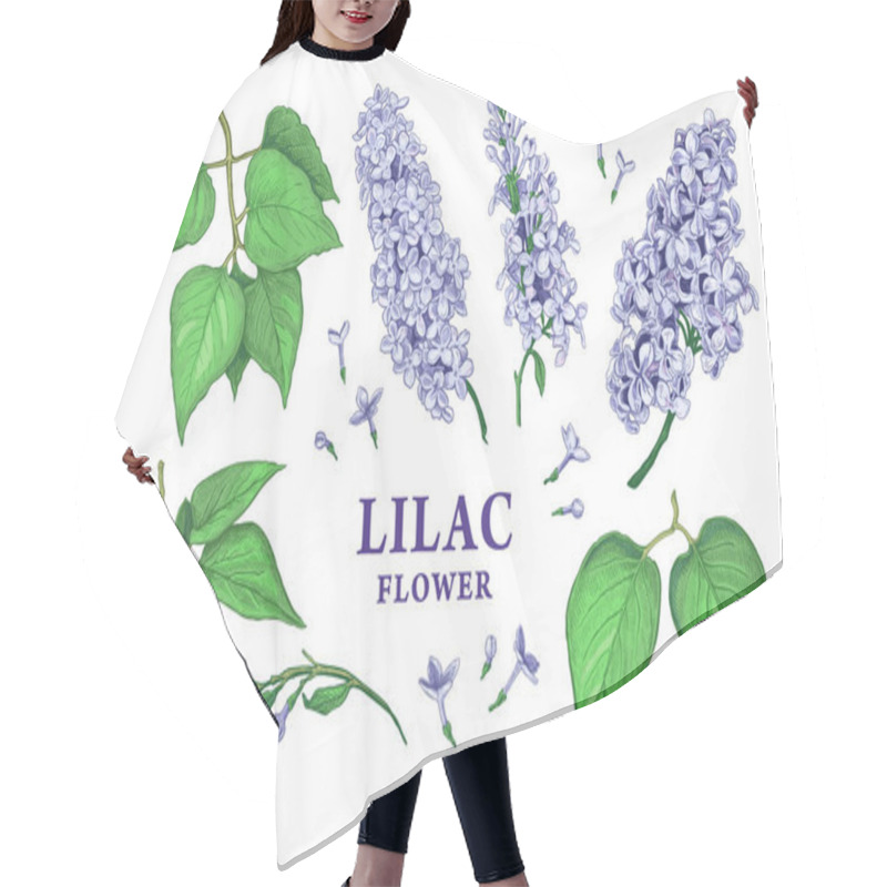 Personality  Set Of Hand Drawn Luxurious Flowers And Leaves Of Lilac. Vector Illustration Of Plant Elements For Floral Design. Color Sketch Isolated On A White Background. Beautiful Bouquet Of Blue Lilac Hair Cutting Cape