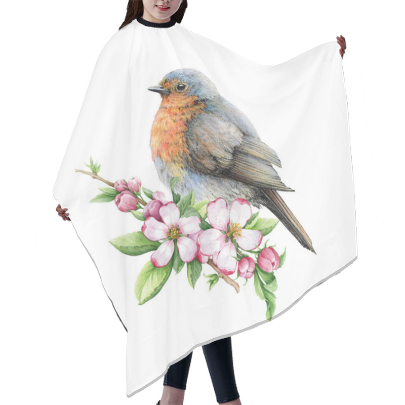 Personality  Vintage Style Robin Bird With Tender Flowers Illustration. Hand Drawn Songbird And Spring Flower Decor. Beautiful Retro Style Realistic Robin Image Element With Apple Blossoms. White Background. Hair Cutting Cape