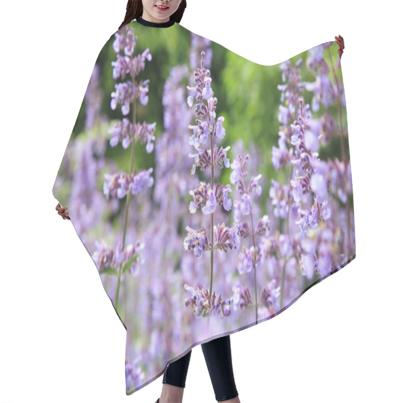 Personality  Catnip Flowers (Nepeta ) Hair Cutting Cape