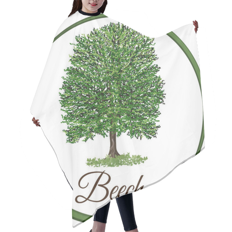 Personality  Beech Tree As Vector Drawn With Single Leaves Hair Cutting Cape