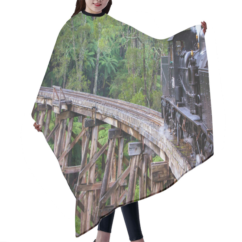 Personality  Puffing Billy Train Hair Cutting Cape