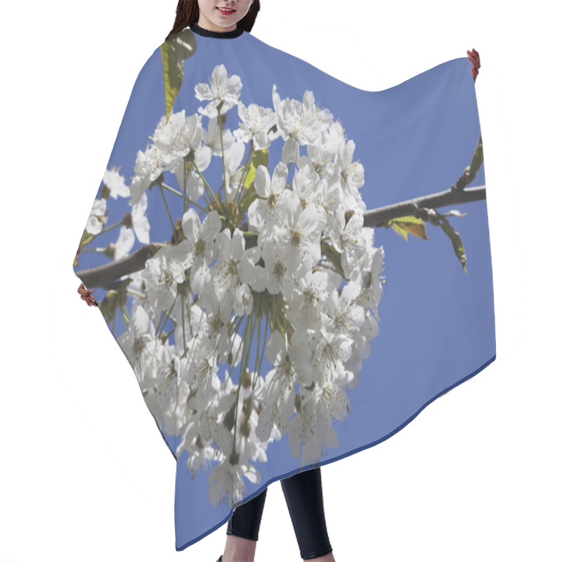 Personality  White Cherry Blossoms Hair Cutting Cape