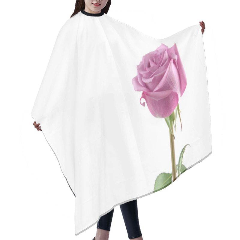 Personality  Purple Rose With Copy Space Hair Cutting Cape