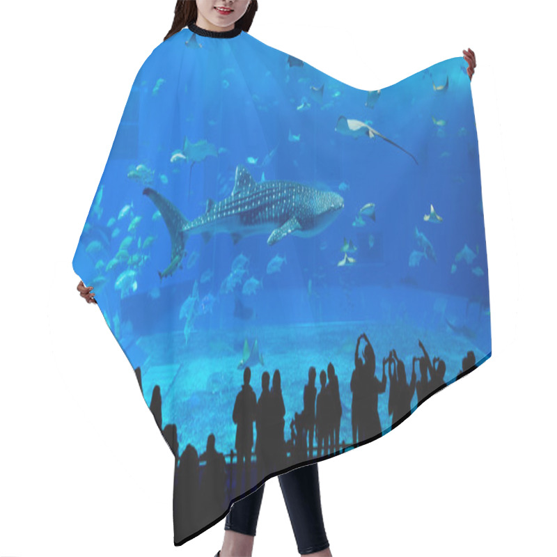 Personality  Okinawa Churaumi Aquarium   Hair Cutting Cape