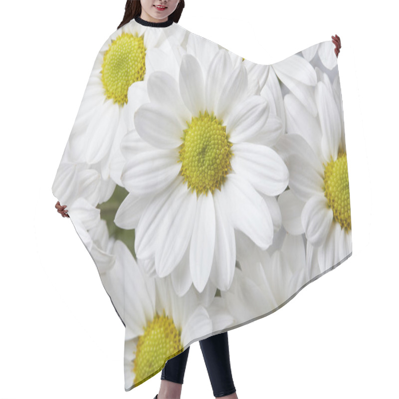 Personality  Chamomile Background Hair Cutting Cape