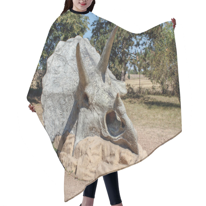 Personality  Triceratops Fossil Skeleton Over Natural Background Hair Cutting Cape