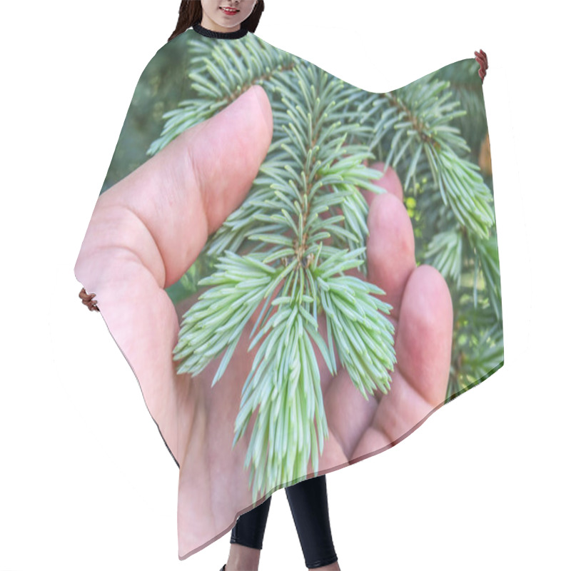 Personality  Young Branches Of A Christmas Tree In The Garden Hair Cutting Cape