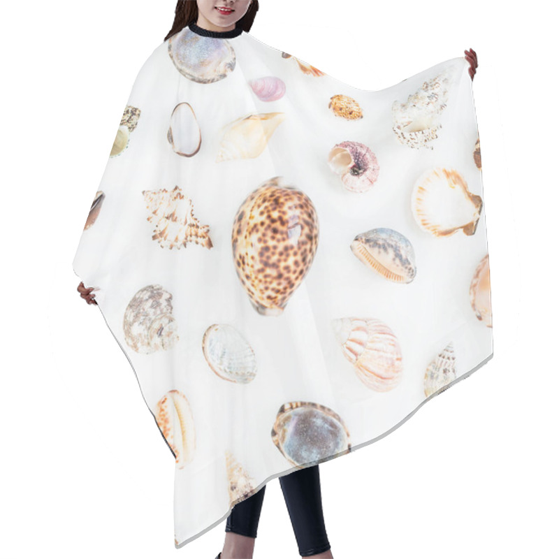 Personality  Various Sea Shells On White Hair Cutting Cape