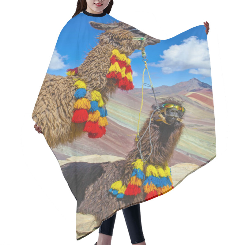 Personality  Funny Alpaca, Lama Pacos, Near The Vinicunca Mountain, Famous Destination In Andes, Peru Hair Cutting Cape